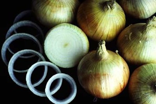 Ссылка на магазин мега onion